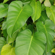 May Flowers Horticulture Installation 48